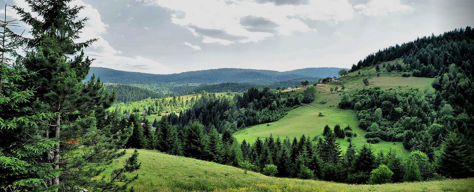 Zlatar